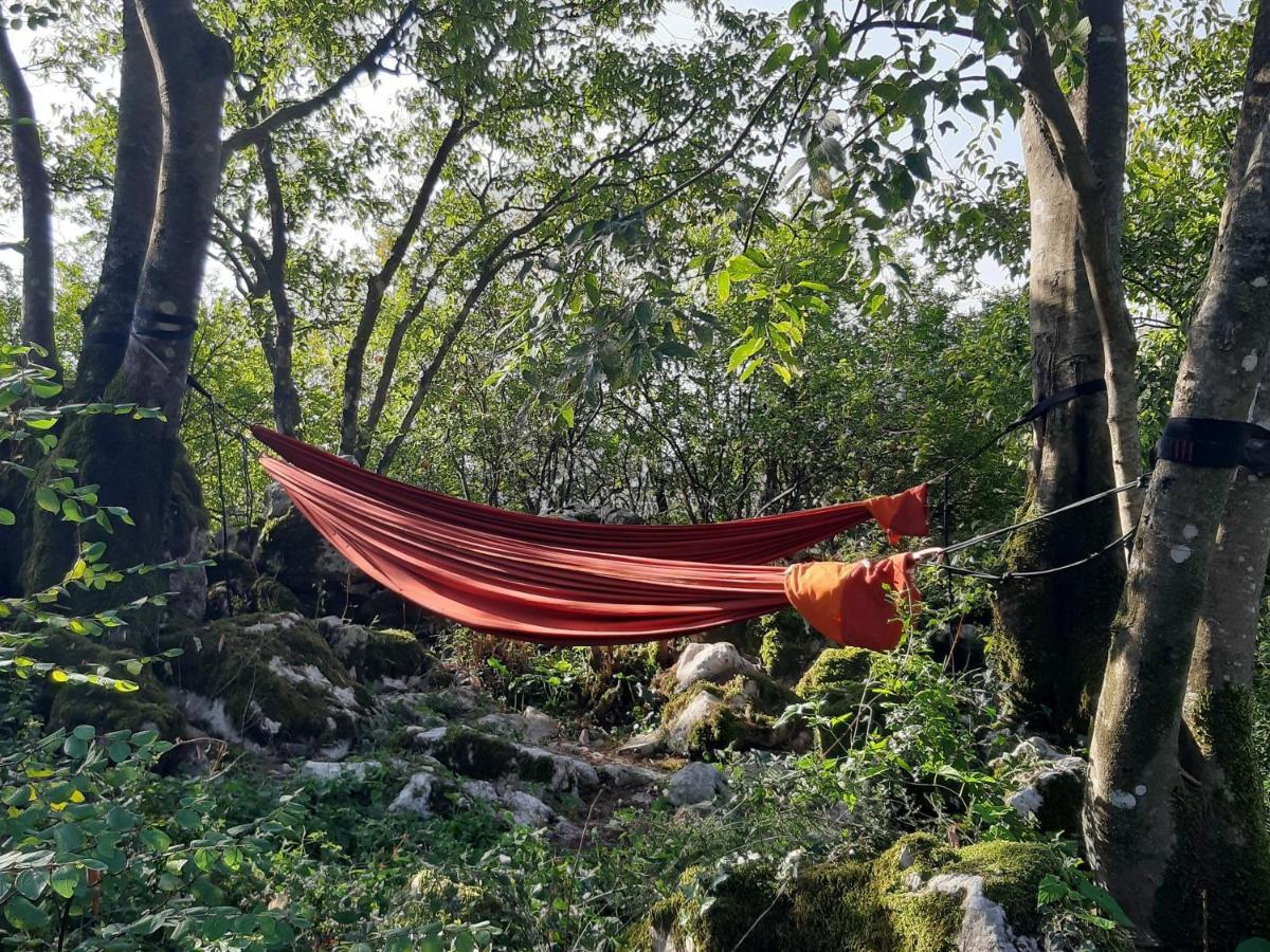 מלון וירפזאר Hoopoe Glamping מראה חיצוני תמונה